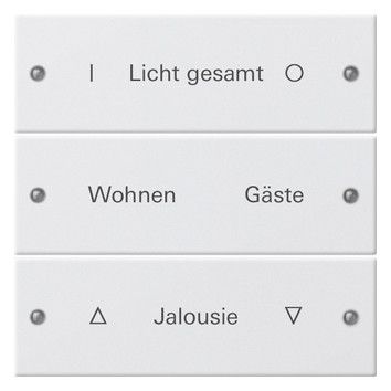 GIRA 220303 Wippenset 3fach beschreibbar System 55 Reinweiß glänzend (lackiert)
