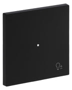 BJ 6234-10-45M Wippe 1-fach m.Symbol "Dimmer"