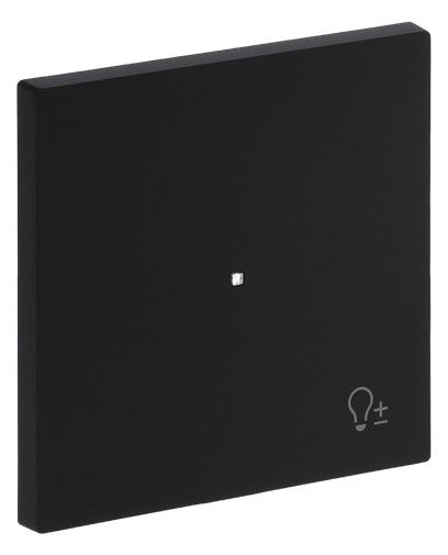 BJ 6234-10-45M Wippe 1-fach m.Symbol "Dimmer"