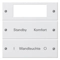 GIRA 221203 Wippenset 2fach Plus beschreib. System 55 Reinweiß gl.(lack.)