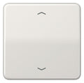 Jung CD101PLG Wippe f.Tasterpfeile