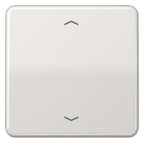 Jung CD101PLG Wippe f.Tasterpfeile