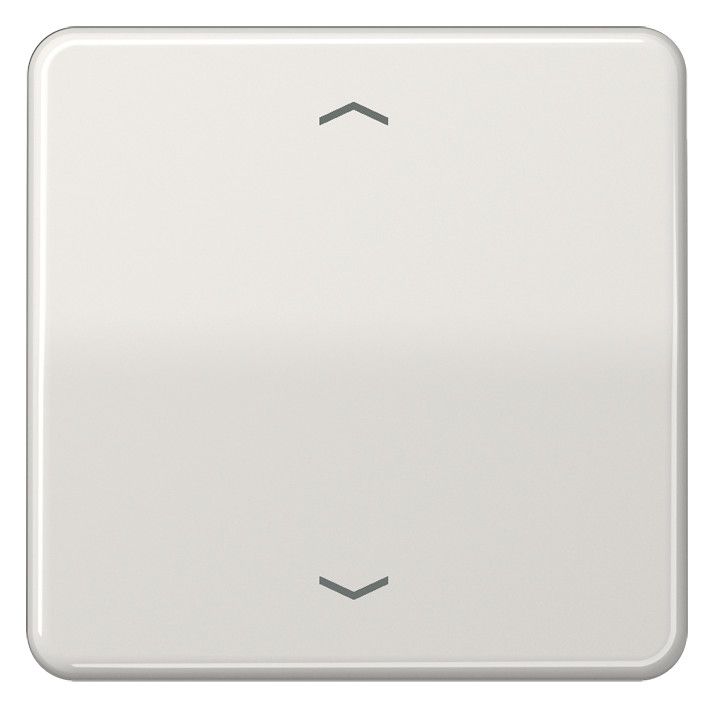 Jung CD101PLG Wippe f.Tasterpfeile