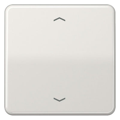 Jung CD101PLG Wippe f.Tasterpfeile