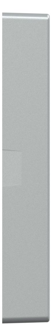 Mert MEG 5226-0460 Wippen f.Taster- Modul 2f (Szene1/2 blank) aluminium