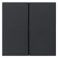 GIRA 5370005 Wippe 2fach unbedruckt System 55 Schwarz matt (lackiert)