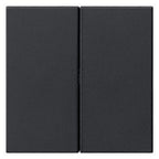 GIRA 5370005 Wippe 2fach unbedruckt System 55 Schwarz matt (lackiert)