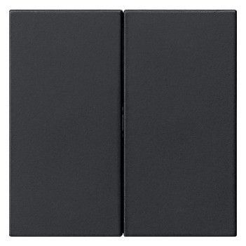 GIRA 5370005 Wippe 2fach unbedruckt System 55 Schwarz matt (lackiert)