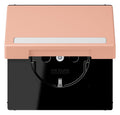 Jung LC1520BFNAKL231 SCHUKO-Steckd.KI m. Klappdeckel m.S