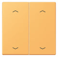 Jung LC102P254 Wippe m.Pfeilsymbolen f.KNX Taster 2