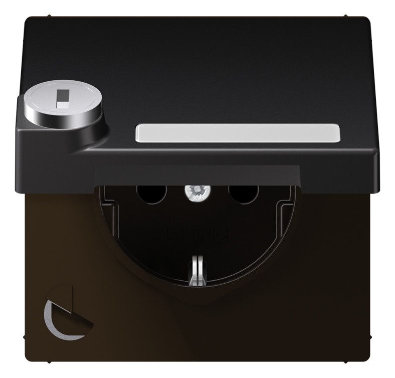 Jung AL 1520 NAKLSL D SCHUKO-Steckdose 16A 250V Berührungs.- schutz Klappd.SF