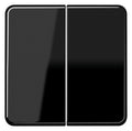 Jung CD102SW Wippe f.Serientaster
