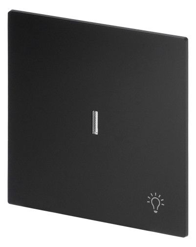 BJ 1789 LI-45M Wippe m.Symbol "Licht" m. transparenter Kalotte