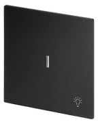 BJ 1789 LI-45M Wippe m.Symbol "Licht" m. transparenter Kalotte