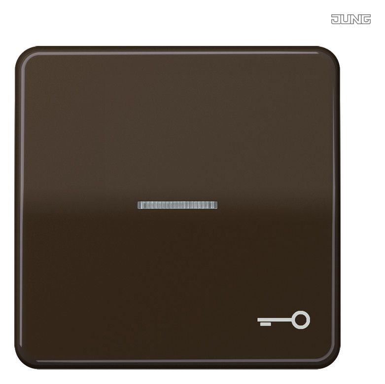 Jung CD590KO5TBR Wippe Symbol Tür m.Lichtleiter braun