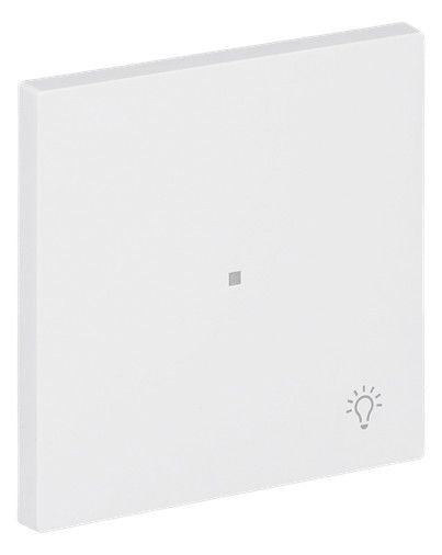 BJ 6231-10-44M Wippe 1-fach m.Symbol "Licht"