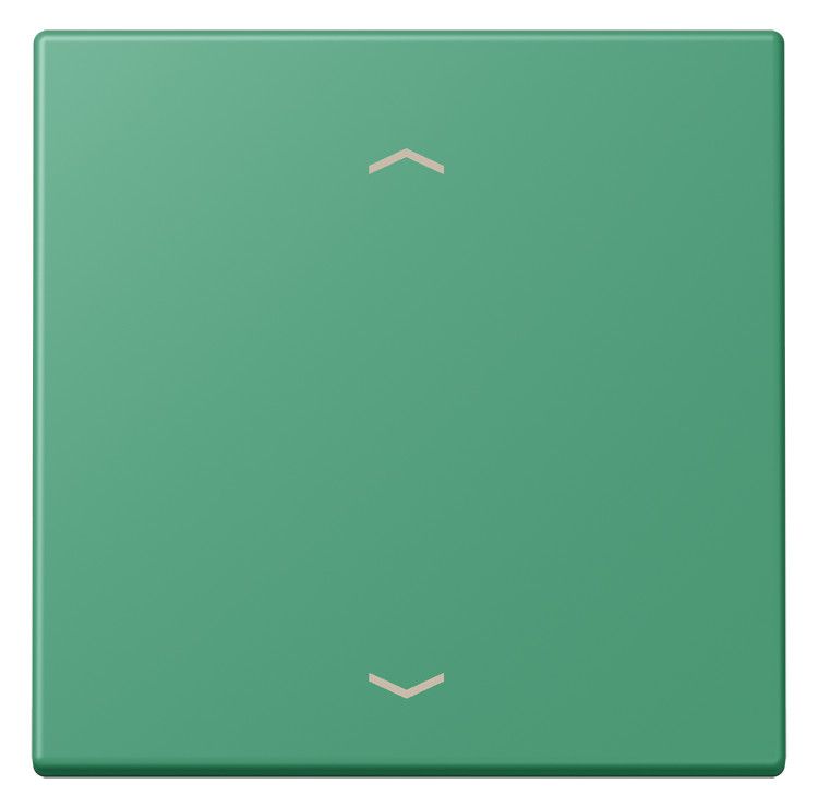 Jung LC101P250 Wippe m.Pfeilsymbolen f.KNX Taster 1