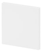 BJ 6735 BT-44G Wippe 1-fach Smart Switch