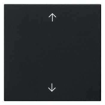 GIRA 5389005 Wippe 1fach Pfeile System 55 Schwarz matt (lackiert)
