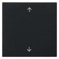 GIRA 5389005 Wippe 1fach Pfeile System 55 Schwarz matt (lackiert)