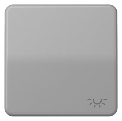 Jung CD590LGR Wippe Symbol Licht grau