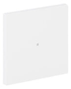 BJ 6230-10-44G Wippe 1-fach neutral o.Bedruckung
