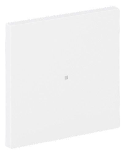 BJ 6230-10-44G Wippe 1-fach neutral o.Bedruckung