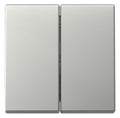 GIRA 3295600 Wippe 2fach System 55 Edelstahl