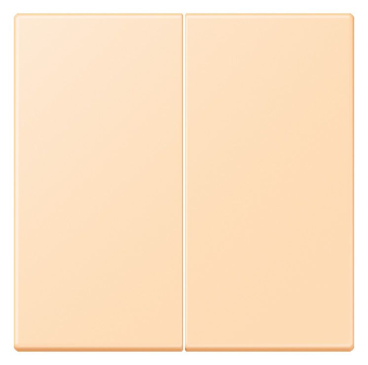Jung LC102223 Wippe f.KNX Taster 2fach LC32060