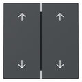 GIRA 329728 Wippe 2fach Pfeile System 55 Anthrazit
