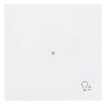 BJ 6234-10-44M Wippe 1-fach m.Symbol "Dimmer"