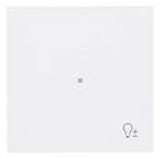 BJ 6234-10-44M Wippe 1-fach m.Symbol "Dimmer"