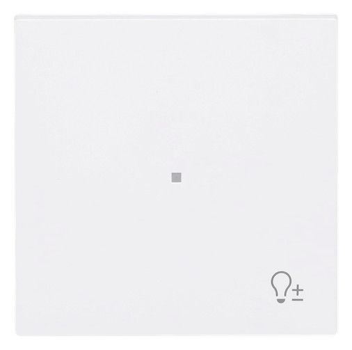BJ 6234-10-44M Wippe 1-fach m.Symbol "Dimmer"
