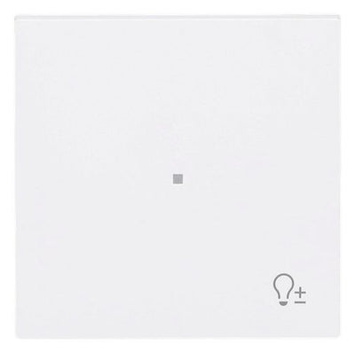 BJ 6234-10-44M Wippe 1-fach m.Symbol "Dimmer"