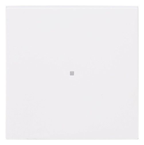 BJ 6230-10-44M Wippe 1-fach neutral o.Bedruckung