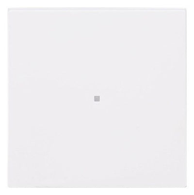 BJ 6230-10-44M Wippe 1-fach neutral o.Bedruckung