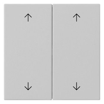 GIRA 5387015 Wippe 2fach Pfeile System 55 Grau matt (lackiert)