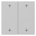GIRA 5387015 Wippe 2fach Pfeile System 55 Grau matt (lackiert)