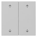 GIRA 5387015 Wippe 2fach Pfeile System 55 Grau matt (lackiert)