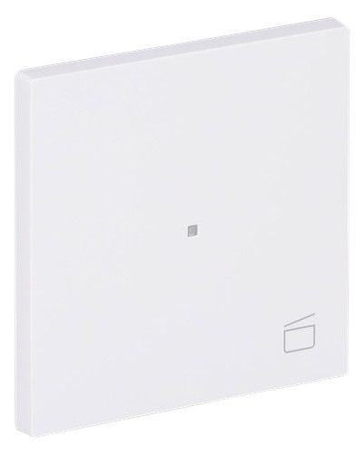 BJ 6233-10-44G Wippe 1-fach m.Symbol "Szene"