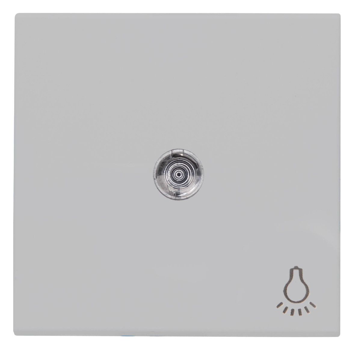 Kopp 490445000 HK07 Flächenwippe m.Linse u.Symbol "Licht" grau matt