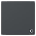 GIRA 328567 Wippe Symbol Licht TX_44 WG UP Anthrazit