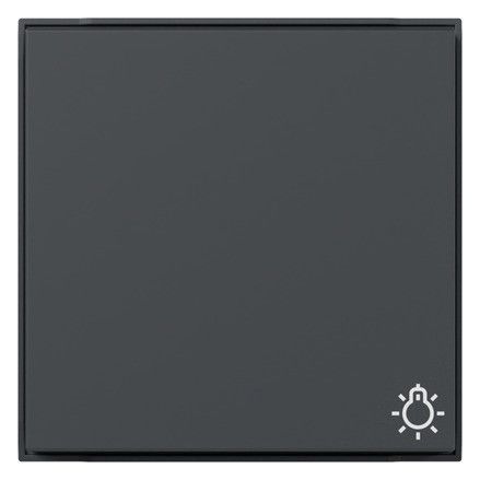 GIRA 328567 Wippe Symbol Licht TX_44 WG UP Anthrazit