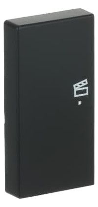 BJ 6233-21-885 Wippe/L 2f Szene schwarz matt Busch-free@home future linear