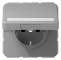 Jung CD1520BFNAKLGR SCHUKO Steckdose Klappdeckel Schriftfeld bruchs. grau