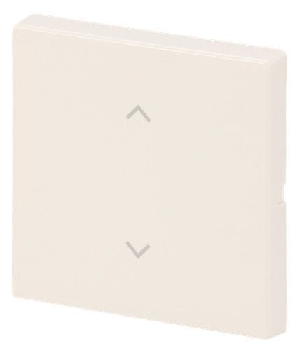 BJ 6735-11-82 Wippe 1-fach m.Symbol "Jalousie" Format 63