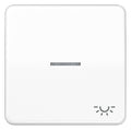 Jung CD590KO5LWW Wippe Symbol Licht m.Lichtleiter alpinweiß