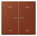 Jung LC102KO5P247 Wippe m.Lichtleiter u. Pfeilsymbolen