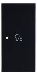 BJ 6234-22-45M Wippe 2-fach rechts m.Symbol "Dimmer"