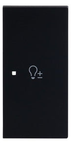 BJ 6234-22-45M Wippe 2-fach rechts m.Symbol "Dimmer"